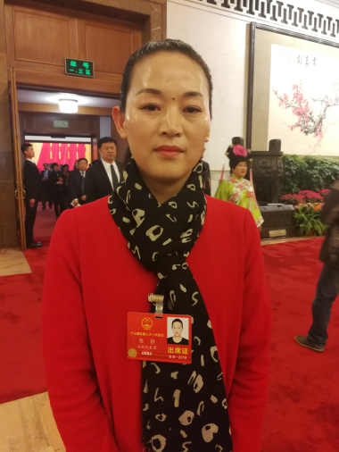 陈静代表:惩治恶意欠薪维护农民工合法权益