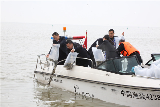 BOB半岛长江十年禁渔 36种渔具为何要禁用(图1)